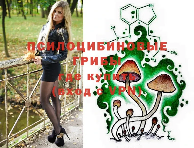 купить   мега ССЫЛКА  Галлюциногенные грибы MAGIC MUSHROOMS  Малая Вишера 